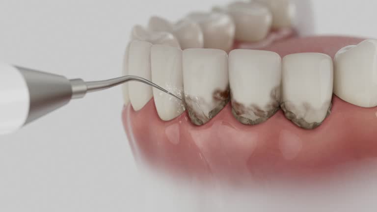 Reliable Dental contractor in Essex, MD by Dentist Open Now
